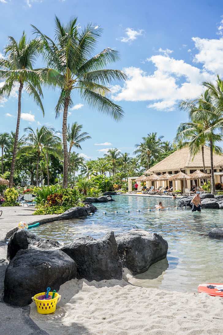 hawaii, oahu, resort, palm trees, pool, marriott, person