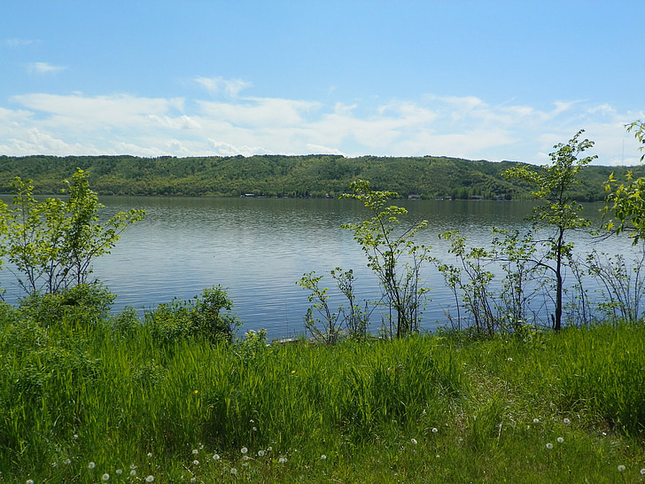 Lac, Saskatchewan, nature, eau, idylle, Lake en saskatchewan, Canada