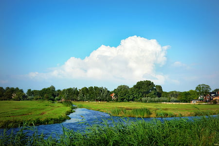 Holandia, krajobraz, holenderski pejzaż, polder, łąka, droga wodna, trawa