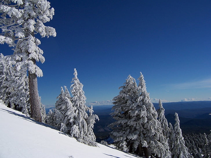 paysage, Scenic, neige, Brokeoff mountain, hiver, Parc national volcanique de lassen, Californie