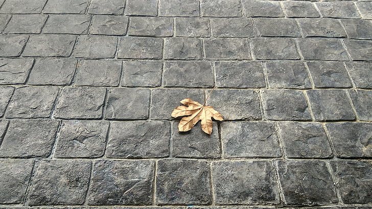 leaves, brick, floor