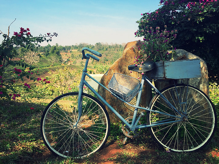 dviratis, gėlė, peizažas, dviratis, retro stiliaus, senamadiškas, lauke
