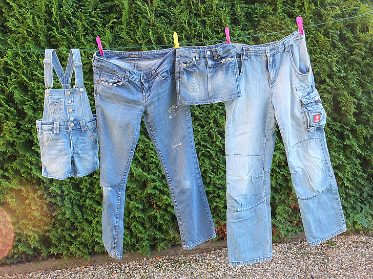 jeans, leash, laundry