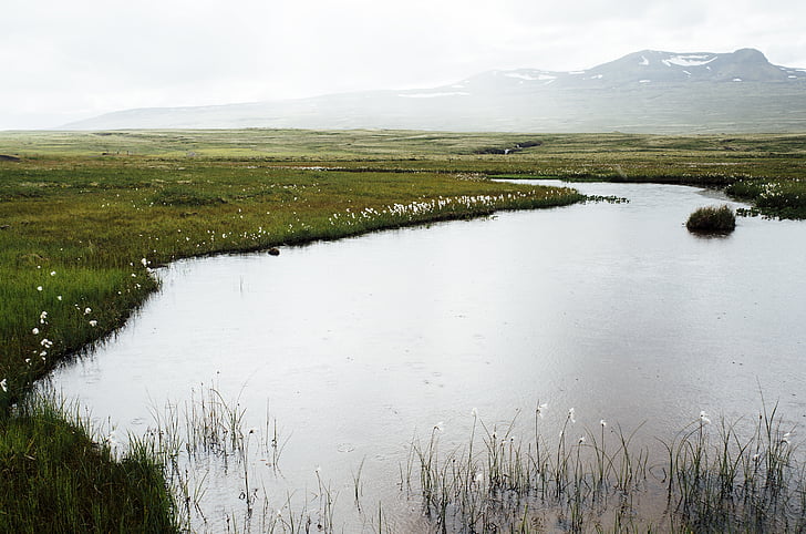 paysage, photographie, Lac, près de :, Prairies, en journée, étang