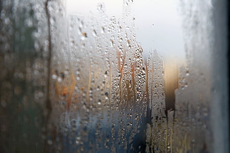 cristal, estat d'ànim, pluja, gotes d'aigua de pluja, mullat, vidre humit, dia