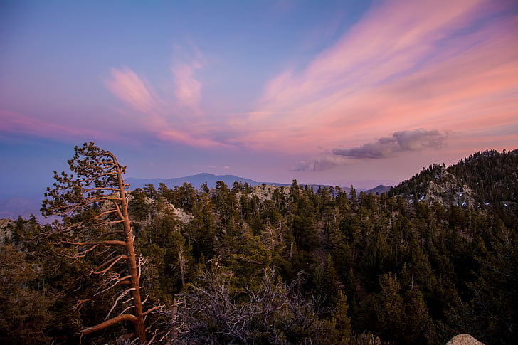 nature, landscape, sunset, sky, natural, tree, outdoor