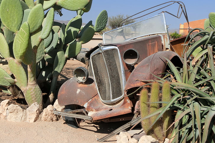 auto, vrak, nerez, staré, kaktus