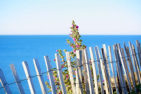 море, пейзаж, природата, Средиземно море, ограда, на открито
