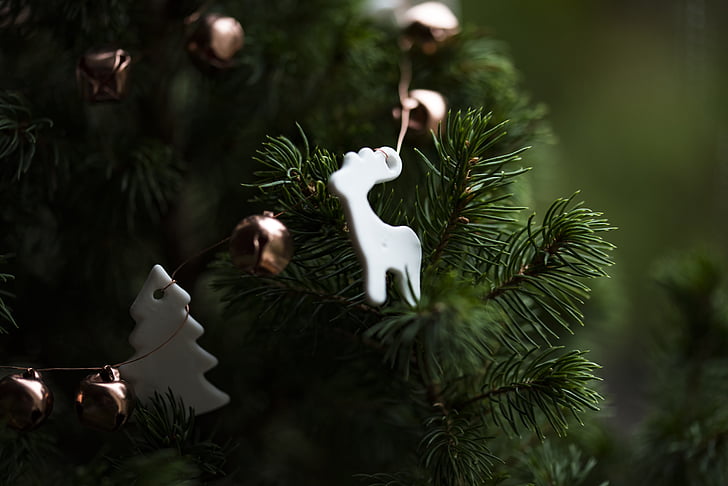Χριστούγεννα, Χριστουγεννιάτικη διακόσμηση, χριστουγεννιάτικο δέντρο, γκρο πλαν, διακόσμηση