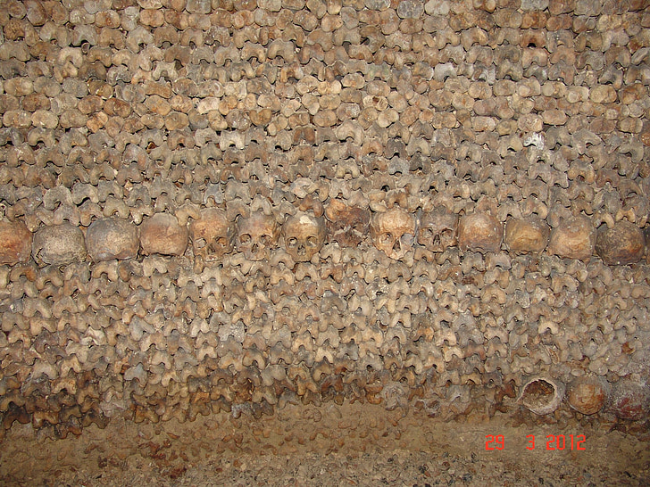 huesos, cráneo, catacumba