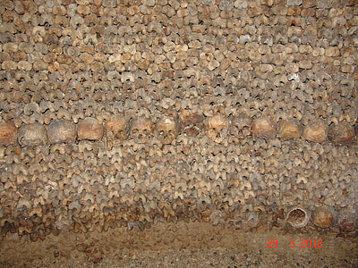 tulang, tengkorak, katakombe