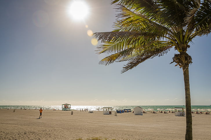 ľudia, Seashore, v blízkosti zariadenia:, Kokos, strom, Dĺžka, more
