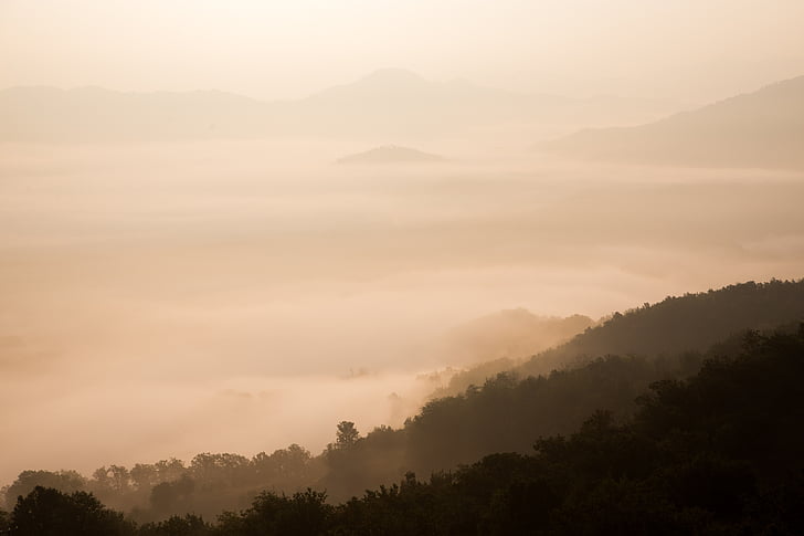 dawn, dust, fog, forest, hills, landscape, mountains