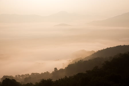 Alba, polvere, nebbia, foresta, colline, paesaggio, montagne