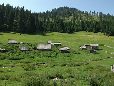 Romania, Karpatene, hytter, skog