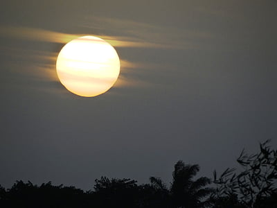 Dawn, Amazonia, Sol, päike, puu, siluett, Ilu looduses