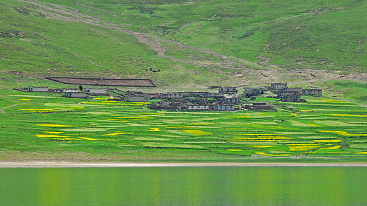Tibeta, ainava, lauksaimniecība, krāsa, kalns, daba, rindu lauks