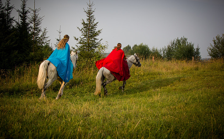 Pferd, Feld, Sommer, Natur