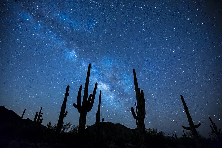 Astronomija, kaktus, tamno, pustinja, daleka, galaksija, krajolik
