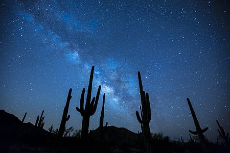 Astronomía, cactus, oscuro, desierto, distante, Galaxia, paisaje