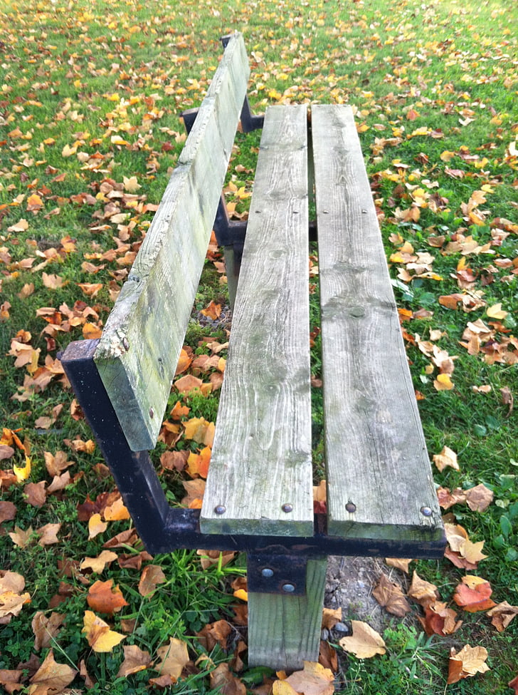 bench, leaves, nobody
