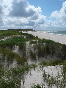 Mar do Norte, dunas, Sylt, praia, natureza, mar, paisagem