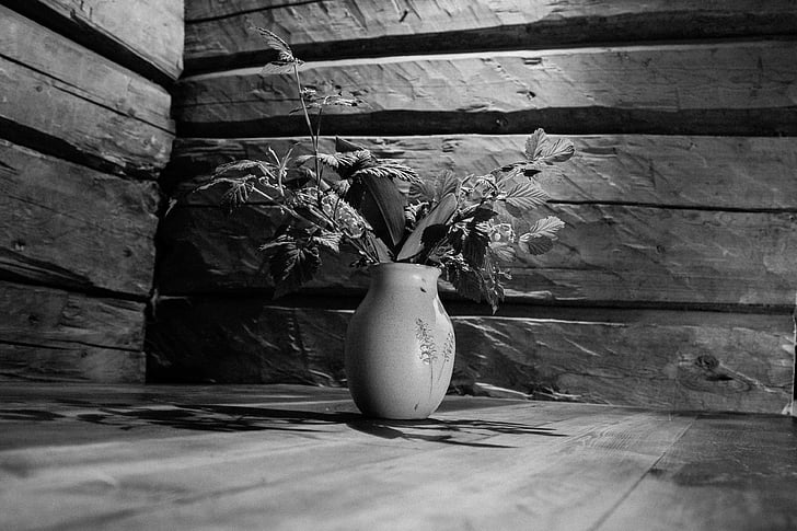 lily of the valley, black and white, wooden barn, filtered, beautiful, photography, country