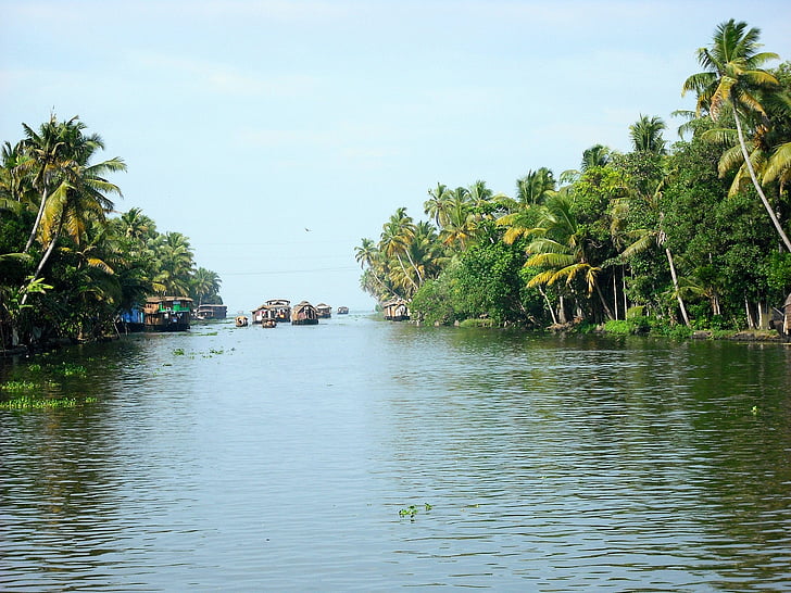river, houseboats, boats, india, kerala, nature, tree
