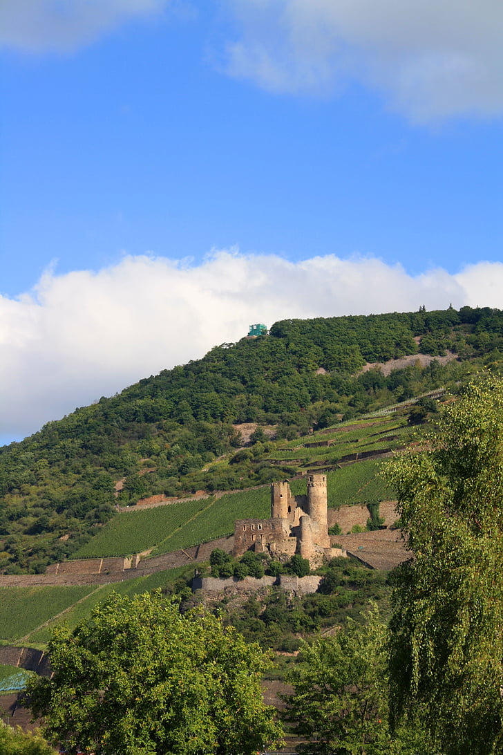 Burg ehrenfels, wijngaard, Kasteel-bingen, landschap