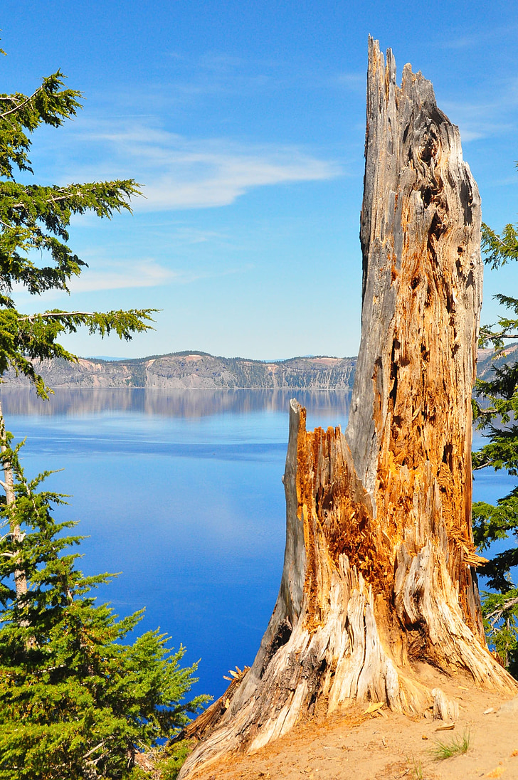 Cráter, Lago, montaña, árbol, antiguo, Oregon, Turismo