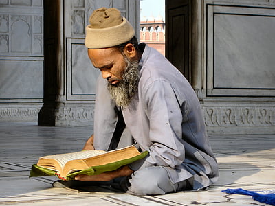 llegir, religió, home, seure, fidels, l'Índia, fe