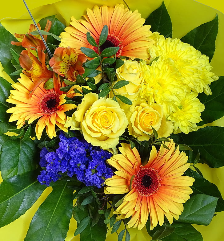 λουλούδια, μπουκέτο, μπουκέτο άνοιξη, φύση, λουλούδι, Κίτρινο, φυτό