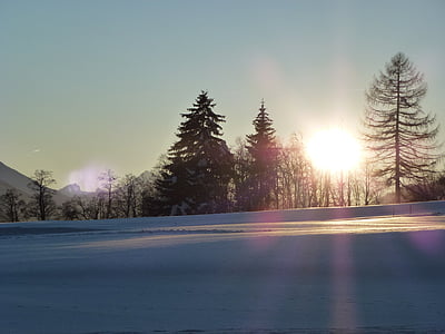 太陽, 雪, 冬, 自然, 山の冬, 雪の風景