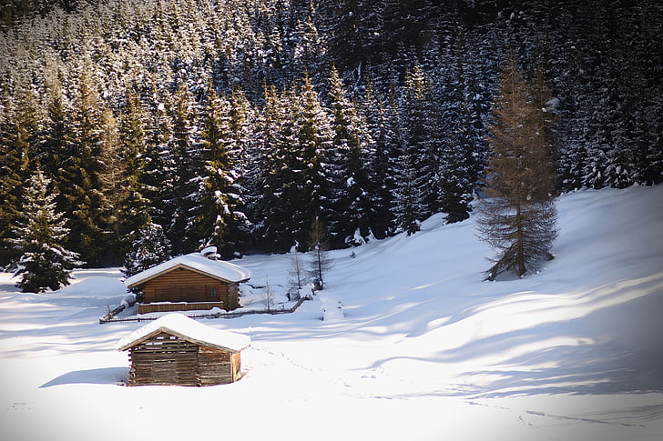 brūns, koka, māja, apkārt, sniega, dienas, ziemas