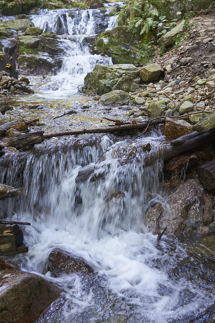 Vrútky, Ferrata, voda, Creek, torrent, Slovensko, podzim
