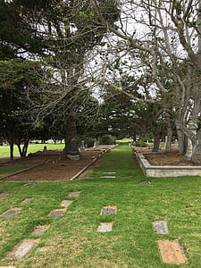 trees, path, graves, landscape, grass, pathway