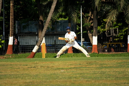 Kriket, topa vuran oyuncu, oyuncu, vuruş, Spor, Top oyunu, oyunu