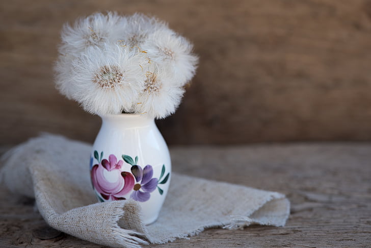 tussilago farfara, dandelion, seeds, white, close, vase, country life