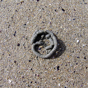 пясъчни червей, пясък, червей