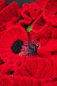 Papaveri, rosso, fili di lana, fiori, Bloom, lavorato a maglia