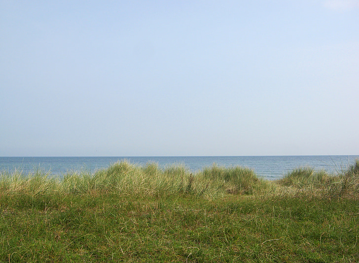 dune, dune grass, baltic sea, sea