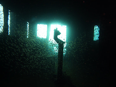 Submarinisme, naufragi, sota l'aigua, l'aigua, Mar, Pont, entorn