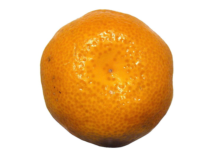 Mandarin, Nasadi citrusov, agrumi, sadje, ljubko, okusno, oranžna