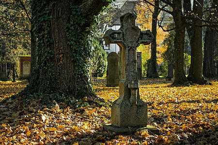 autumn, autumn leaves, autumn light, cemetery, cross, death, decay