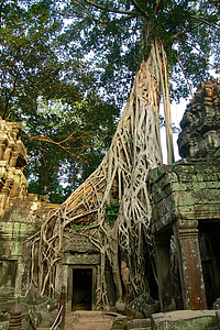 Angkor thom, Kambodża, ruiny, Azja, Świątynia, dusiciel, Lara croft