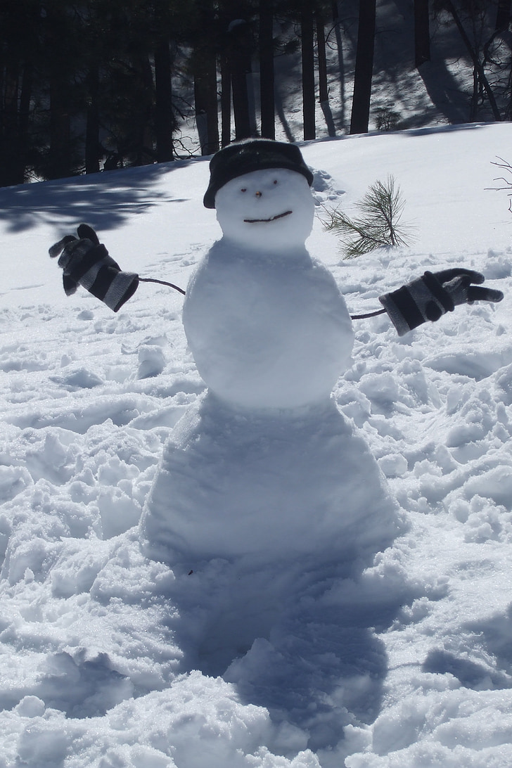 snowman, snow, winter, hat, gloves, cold, cute