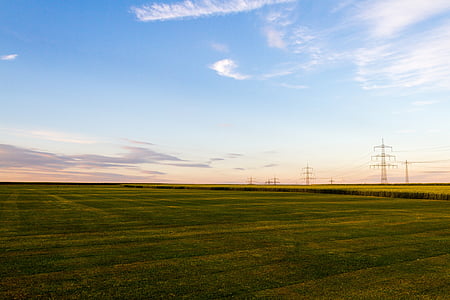 field of rapeseeds, landscape, power line, oilseed rape, arable, sky, nature