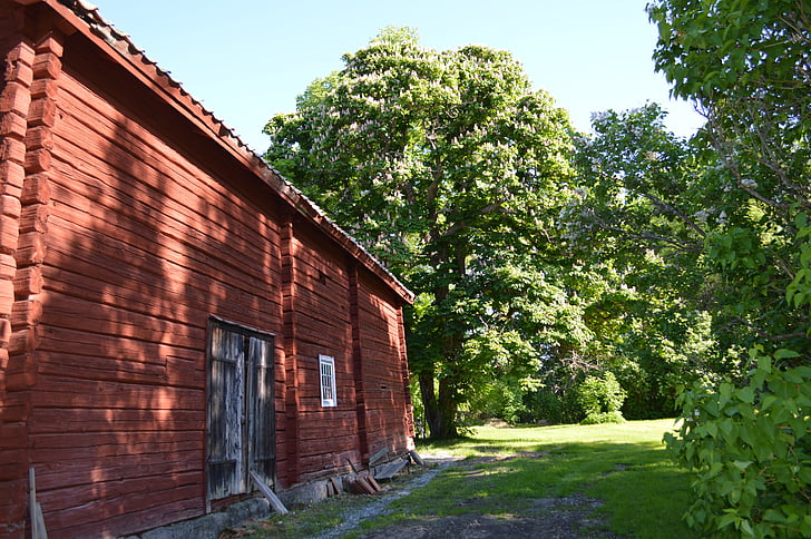 Holz Hütte, Rotes Haus, Sommer, altes Haus, Ferienhaus, Haus, Holz