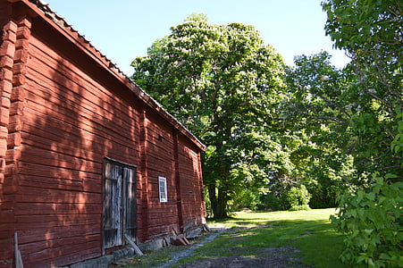 Timber mökki, punainen talo, kesällä, vanha talo, mökki, House, puun