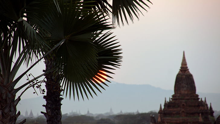 Bagan, Myanmar, Sonne, Palm, Tempel, Asien, Pagode